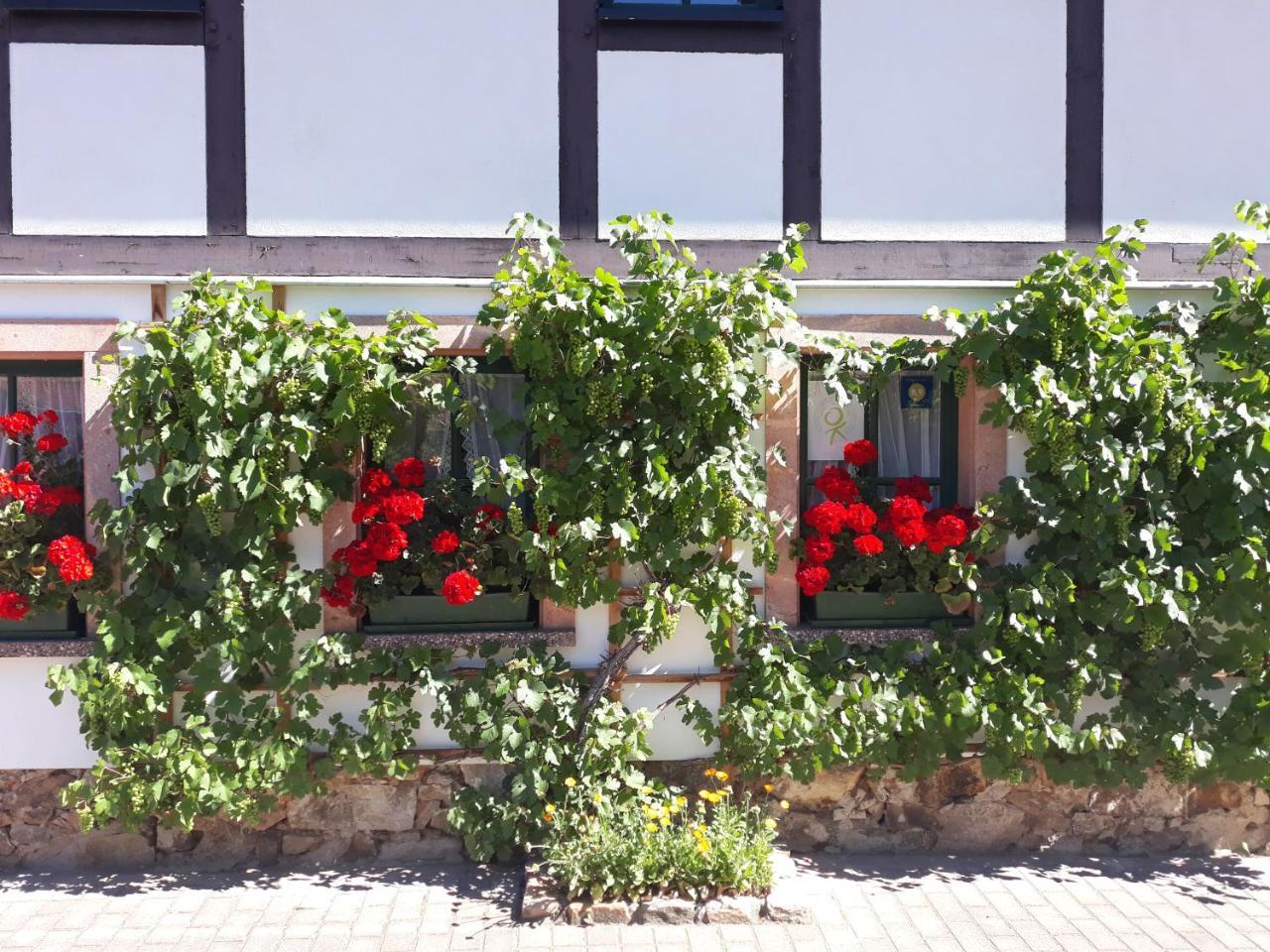 فندق Balancehaus Kohren-Sahlis, Dein Kurhaus In Sachsen المظهر الخارجي الصورة